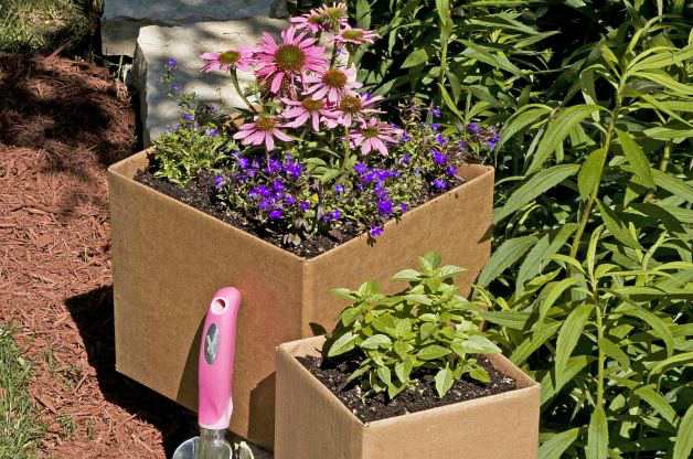 Free Garden Basics